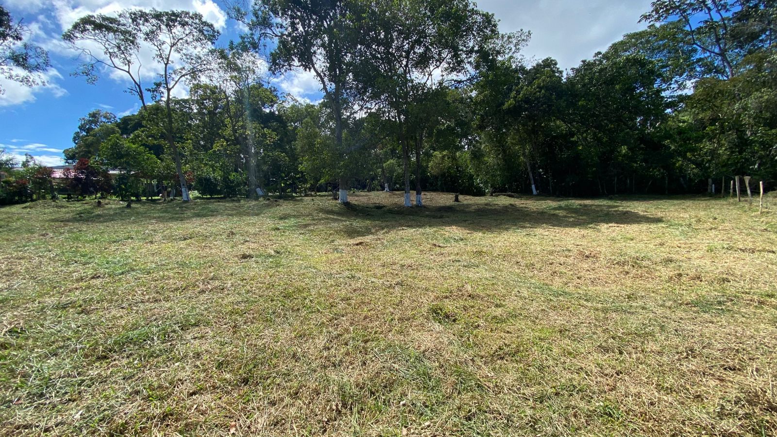 Lote en venta Santander Los Santos Los Santos 1482 m2 Habitaciones 0 Baños 0 Garajes 0 Precio $180000000