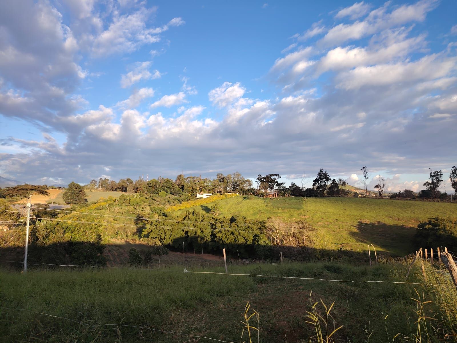 Lote en venta Santander Los Santos Los Santos 1272 m2 Habitaciones 0 Baños 0 Garajes 0 Precio $130000000