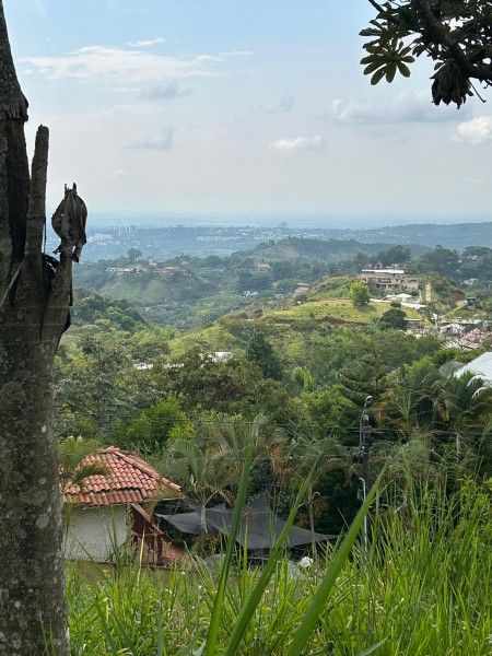 Lote en venta Valle Del Cauca Cali Cali 0 m2 Habitaciones 0 Baños 0 Garajes 0 Precio $310000000