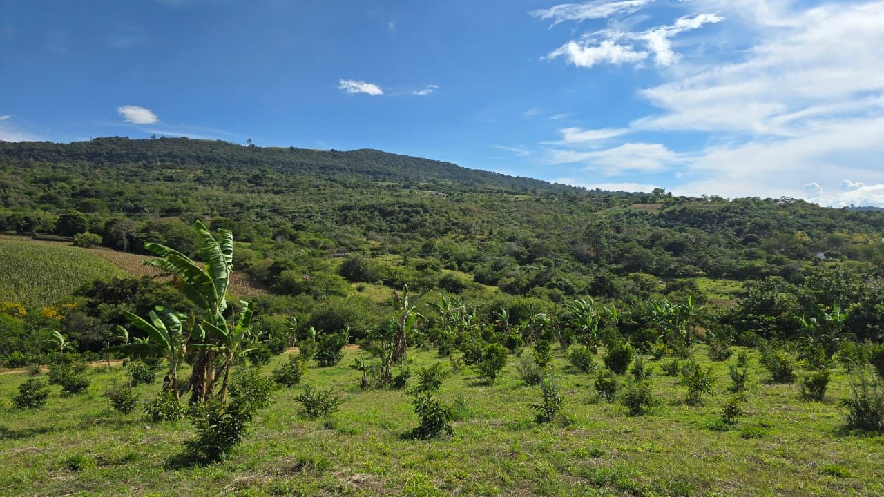 Lote en venta Santander Curití La Trinidad 20 m2 Habitaciones 0 Baños 0 Garajes 0 Precio $65000000
