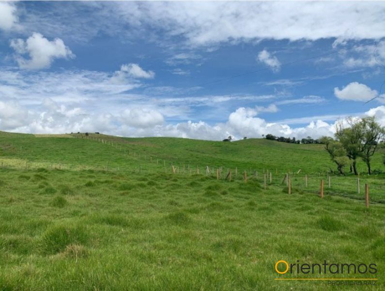 Lote en venta Antioquia La Unión La Unión 56776 m2 Habitaciones 0 Baños 0 Garajes 0 Precio $3850000000