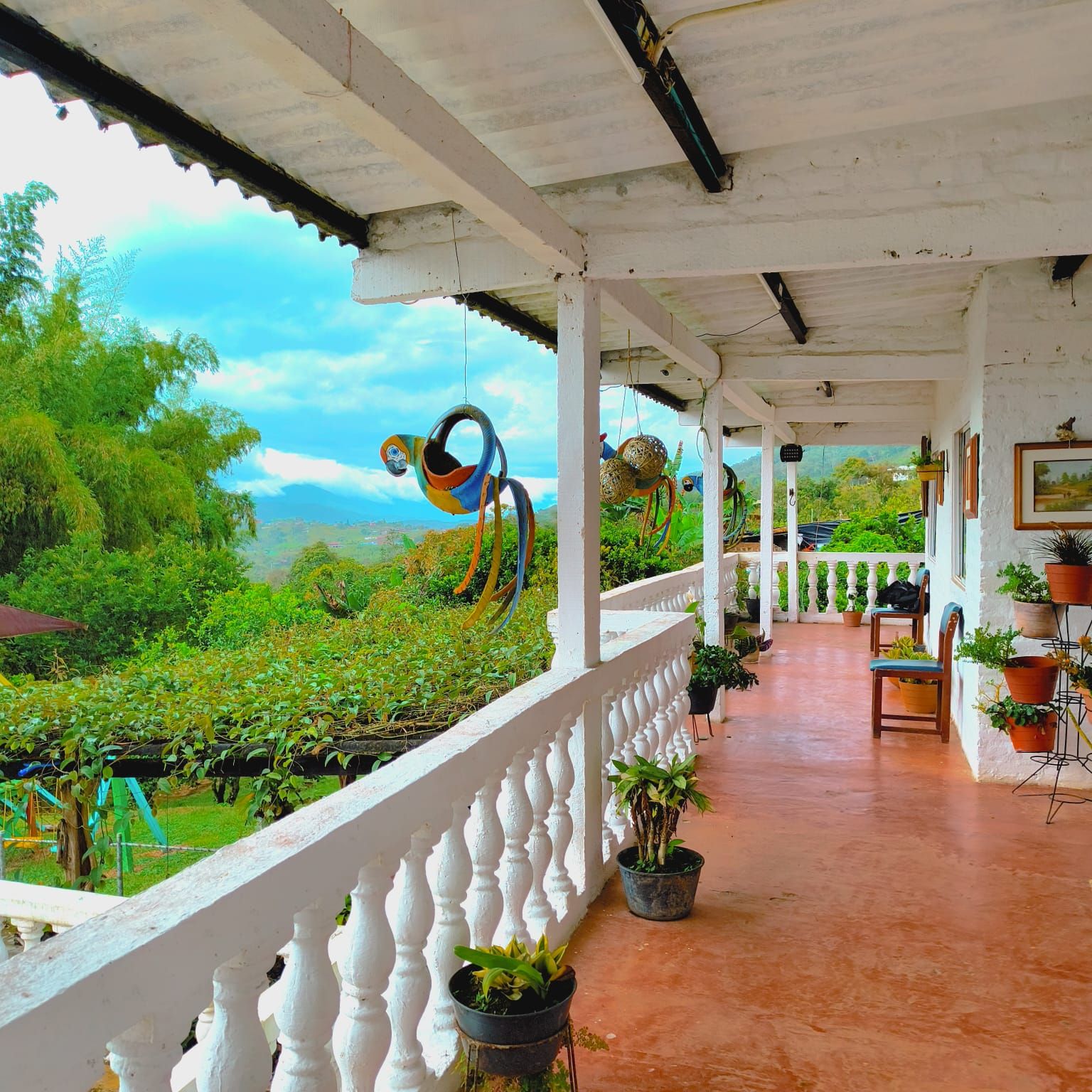 Finca en venta Valle Del Cauca Dagua Ricaurte 350 m2 Habitaciones 6 Baños 3 Garajes 8 Precio $700000000