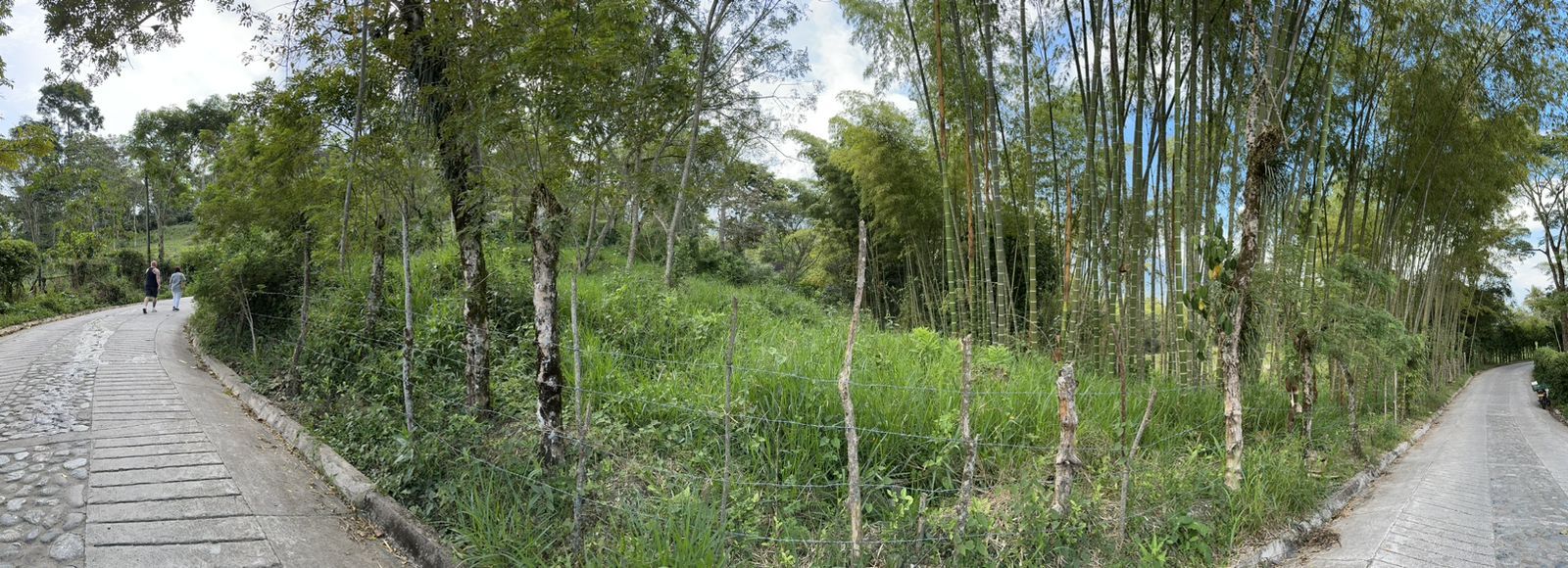 Lote en venta Antioquia Támesis Támesis 20 m2 Habitaciones 0 Baños 0 Garajes 0 Precio $160000000