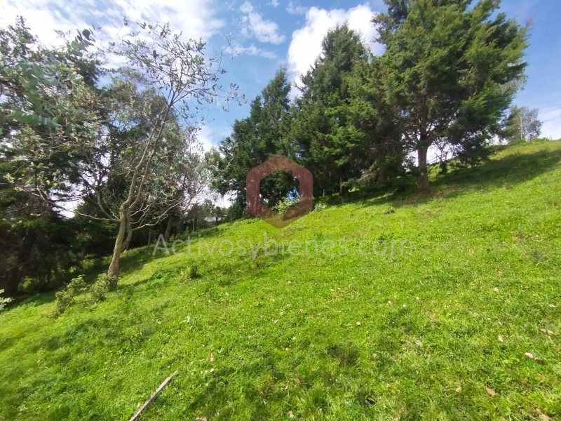 Lote en venta Antioquia Guarne Guarne 5036 m2 Habitaciones 0 Baños 0 Garajes 0 Precio $850000000