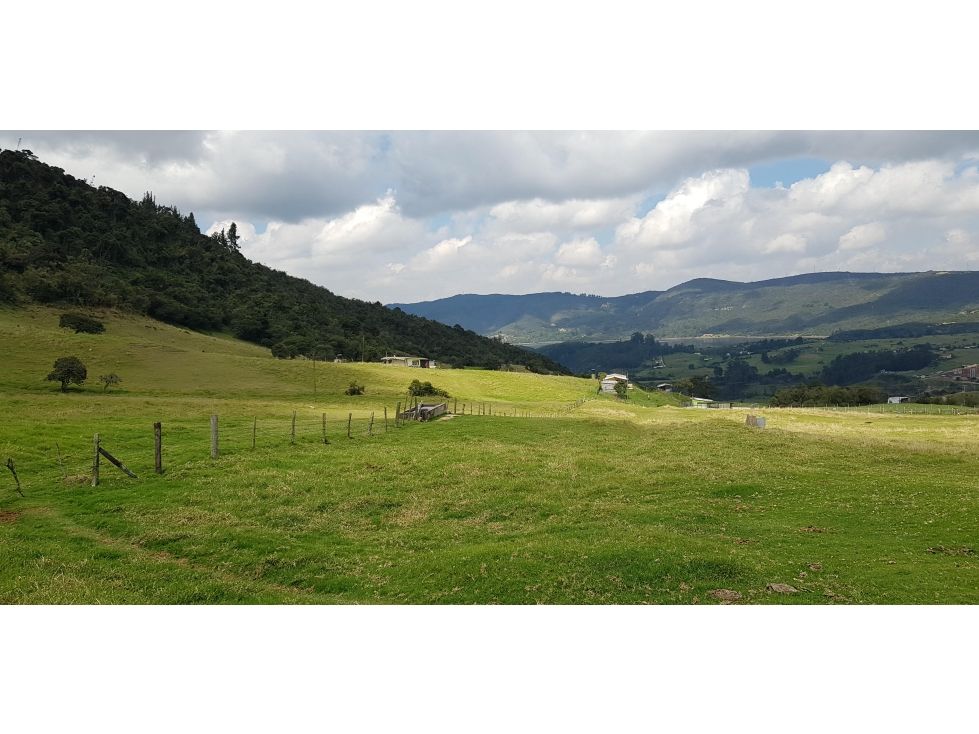 Lote en venta Cundinamarca La Calera La Calera 24651 m2 Habitaciones 0 Baños 0 Garajes 0 Precio $2350000000