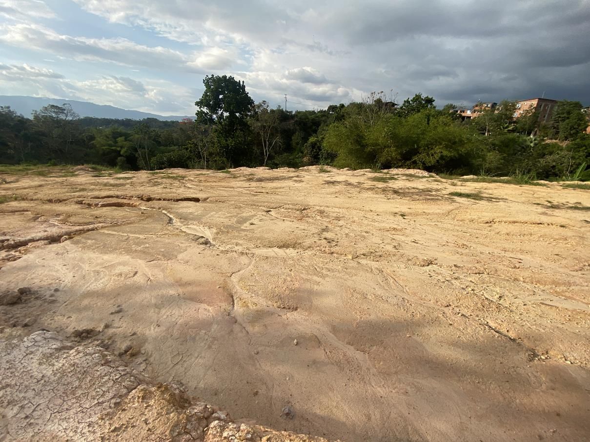 Finca en venta Santander Floridablanca Prado Del Sur 23500 m2 Habitaciones 0 Baños 0 Garajes 0 Precio $6000000000