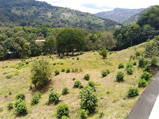 Lote en venta Cundinamarca Nocaima Nocaima 10783 m2 Habitaciones 0 Baños 0 Garajes 0 Precio $2500000000