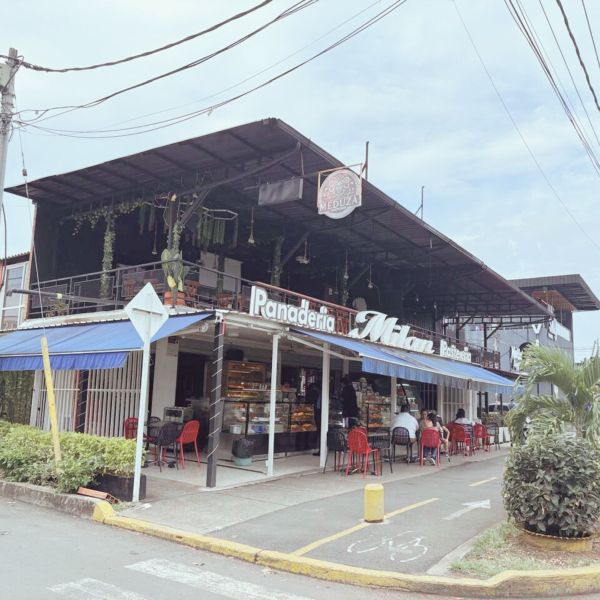 Local en venta Valle Del Cauca Jamundí Cr Alegra 315 m2 Habitaciones 0 Baños 4 Garajes 0 Precio $895000000