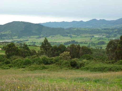 Lote en venta Cundinamarca Sopó Urbano Centro 124500 m2 Habitaciones 0 Baños 0 Garajes 0 Precio $6250000000