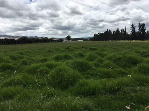 Lote en venta Cundinamarca Subachoque Subachoque 80329 m2 Habitaciones 0 Baños 0 Garajes 0 Precio $2300000000