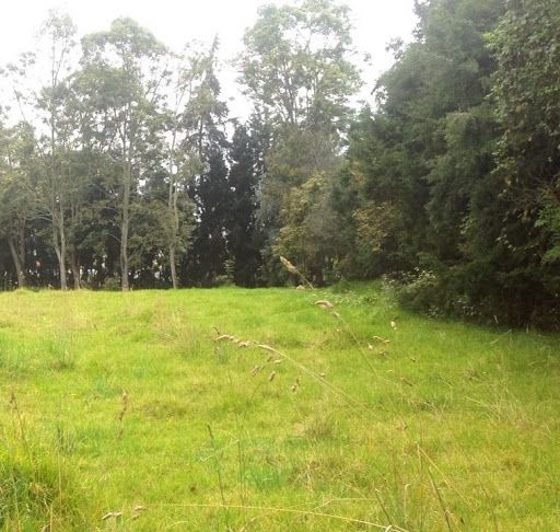 Lote en venta Cundinamarca Chía Chia 7590 m2 Habitaciones 0 Baños 0 Garajes 0 Precio $10626000000