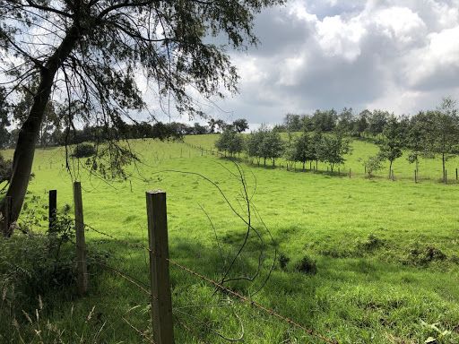 Lote en venta Cundinamarca Madrid Hermandades Del Trabajo 177499 m2 Habitaciones 0 Baños 0 Garajes 0 Precio $35000000000