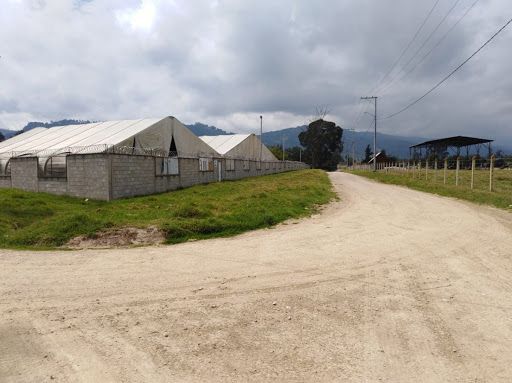 Lote en venta Cundinamarca Gachancipá Centro 8000 m2 Habitaciones 0 Baños 0 Garajes 0 Precio $6000000000
