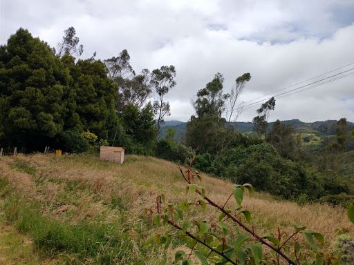 Lote en venta Cundinamarca La Calera La Calera 5446 m2 Habitaciones 0 Baños 0 Garajes 0 Precio $500000000