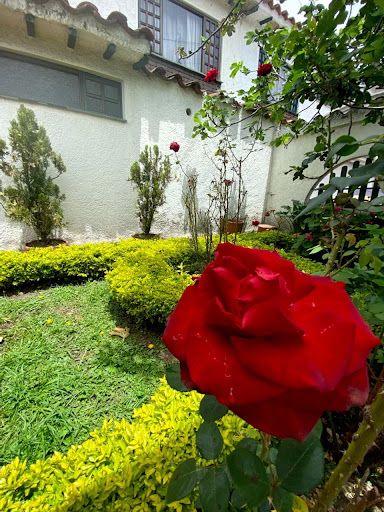 Casa en venta Cundinamarca Bogotá Potosí 220 m2 Habitaciones 4 Baños 4 Garajes 2 Precio $1100000000