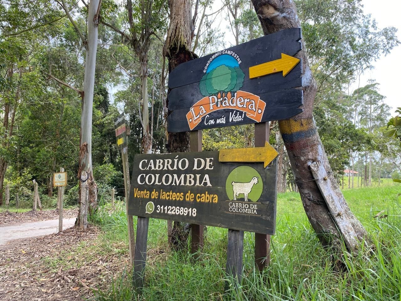 Casa en venta Santander Los Santos Los Santos 2689 m2 Habitaciones 5 Baños 2 Garajes 1 Precio $700000000