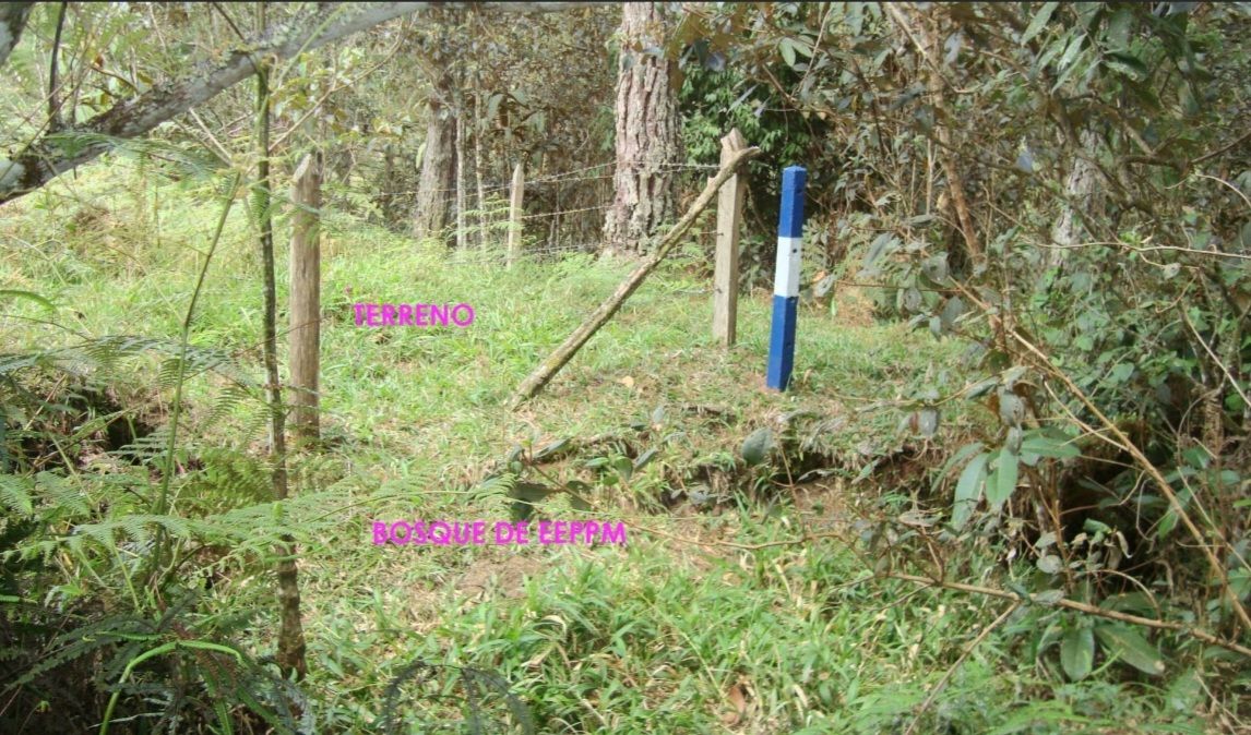 Lote en venta Antioquia Guatape Guatape 0 m2 Habitaciones 0 Baños 0 Garajes 0 Precio $1730000000