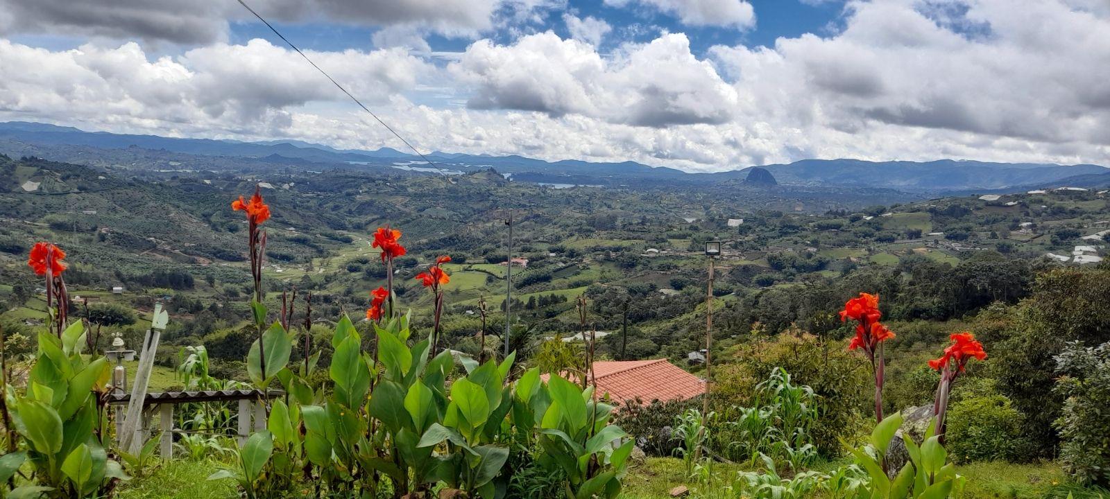 Finca en venta Antioquia Peñol Peñol 312 m2 Habitaciones 2 Baños 2 Garajes 3 Precio $2690000000