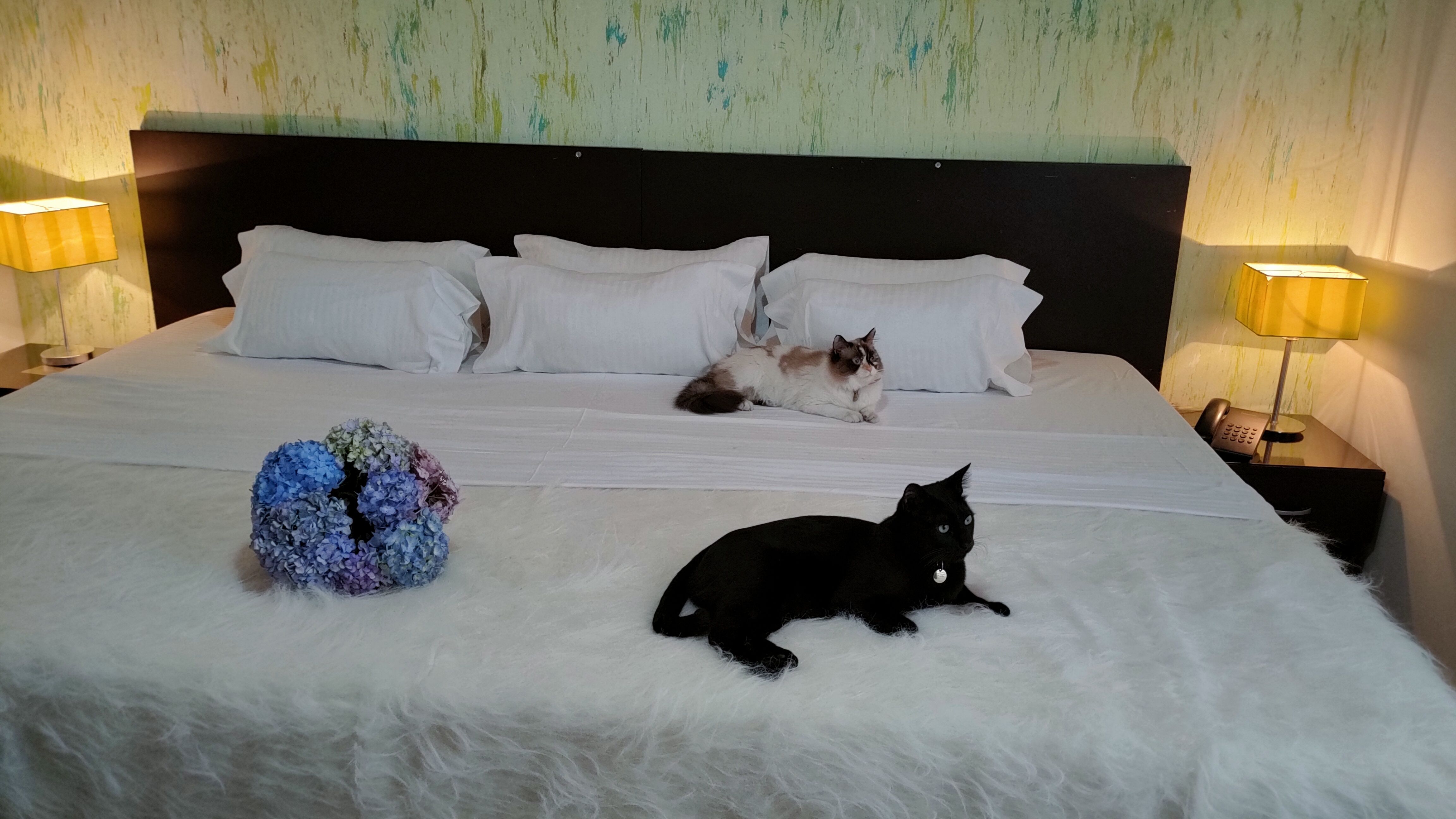 Suite en arriendo Cundinamarca Bogotá Santa Barbara Central 350 m2 Habitaciones 6 Baños 6 Garajes 2 Precio $1700000