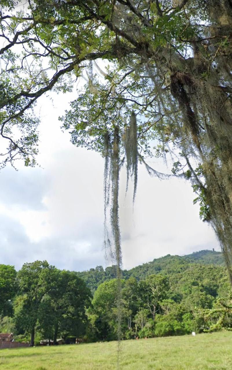 Lote en venta Santander Piedecuesta Centro 0 m2 Habitaciones 0 Baños 0 Garajes 0 Precio $6500000000