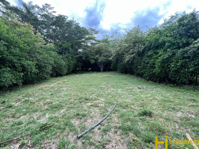 Lote en venta Antioquia Santafé De Antioquia Santafé De Antioquia 1250 m2 Habitaciones 0 Baños 0 Garajes 0 Precio $270000000