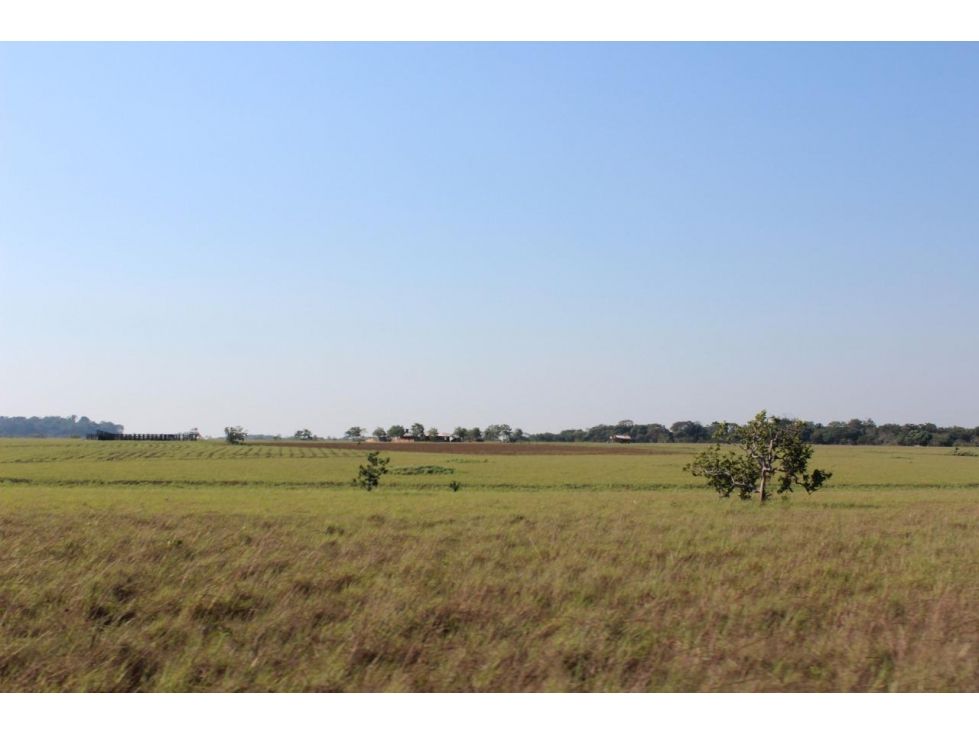 Finca en venta Vichada Cumaribo Cumaribo 5180000 m2 Habitaciones 0 Baños 0 Garajes 0 Precio $1036000000