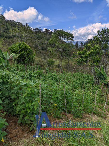 Casa en venta Antioquia Concepción Concepción 4000 m2 Habitaciones 3 Baños 2 Garajes 8 Precio $1200000000