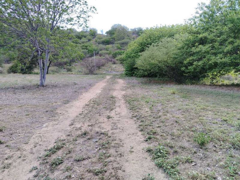 Lote en venta Magdalena Santa Marta Santa Marta 15 m2 Habitaciones 0 Baños 0 Garajes 0 Precio $2000000000