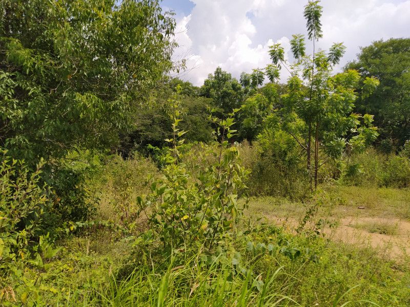 Lote en venta Magdalena Santa Marta Br Aeromar 900 m2 Habitaciones 0 Baños 0 Garajes 0 Precio $360000000