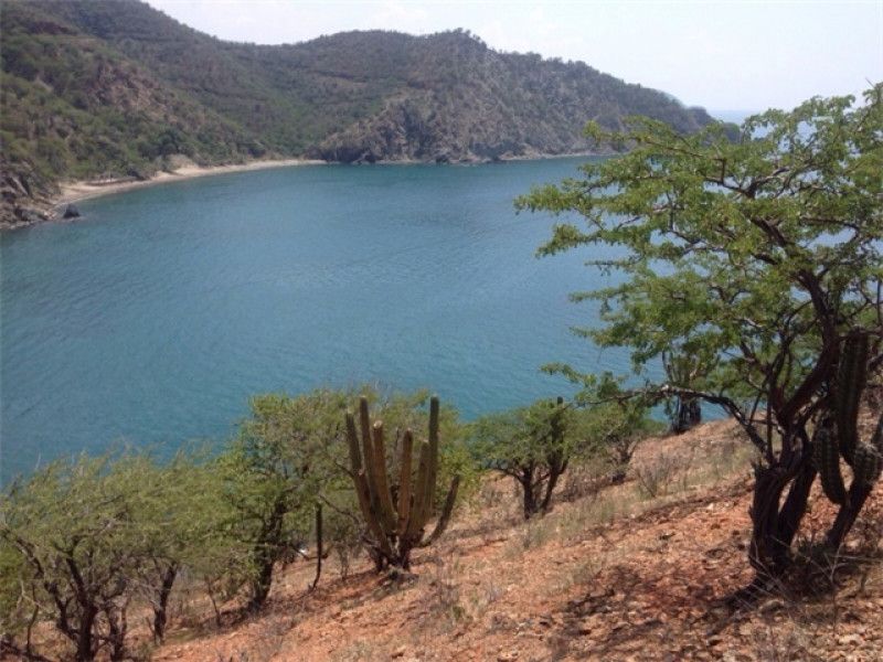 Lote en venta Magdalena Santa Marta Rodadero 10000 m2 Habitaciones 0 Baños 0 Garajes 0 Precio $3853800000