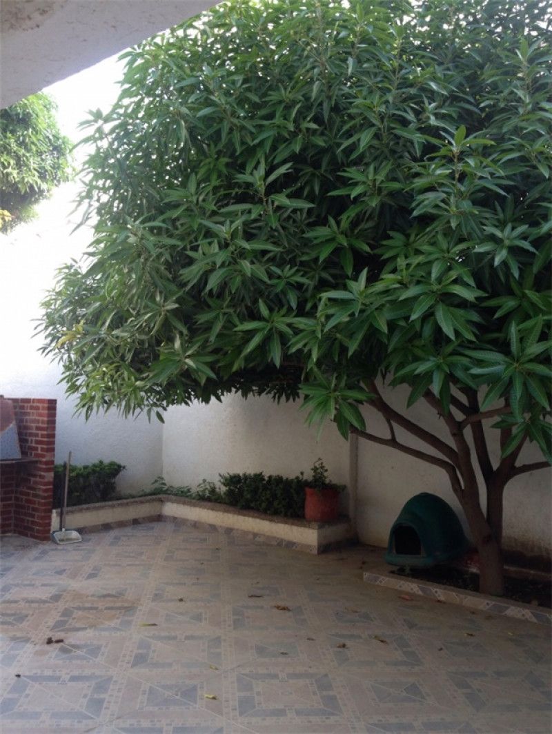 Casa en venta Magdalena Santa Marta Villa Olimpica Simon Bolivar 410 m2 Habitaciones 5 Baños 4 Garajes 3 Precio $820000000