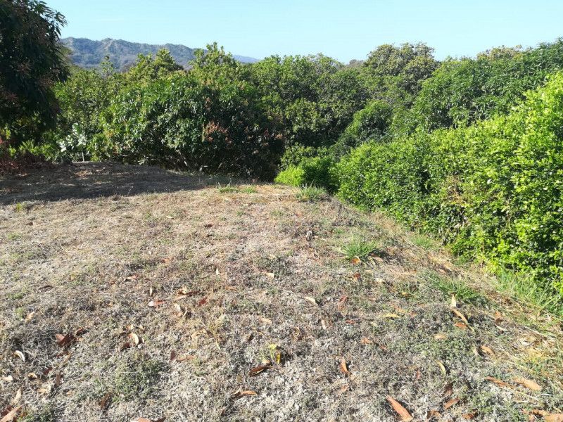 Lote en venta Magdalena Santa Marta Ub Villa Dania 3340 m2 Habitaciones 0 Baños 0 Garajes 2 Precio $350000000