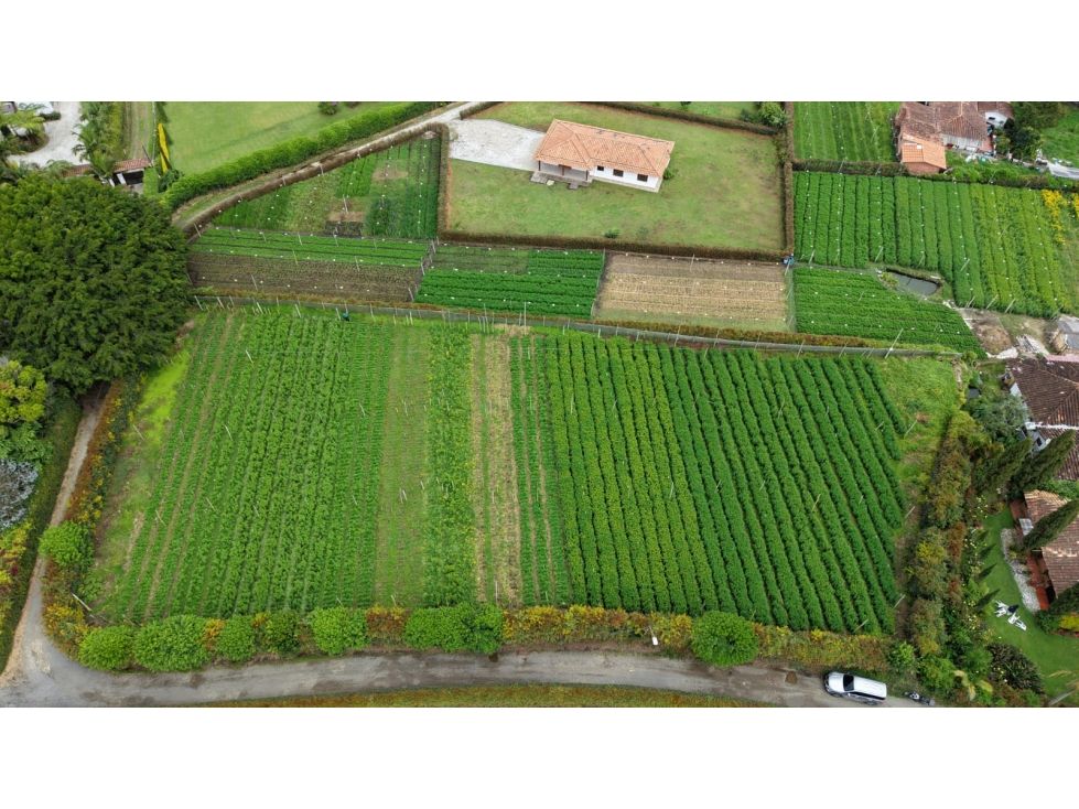 Lote en venta Antioquia Rionegro El Porvenir 3300 m2 Habitaciones 0 Baños 0 Garajes 0 Precio $990000000
