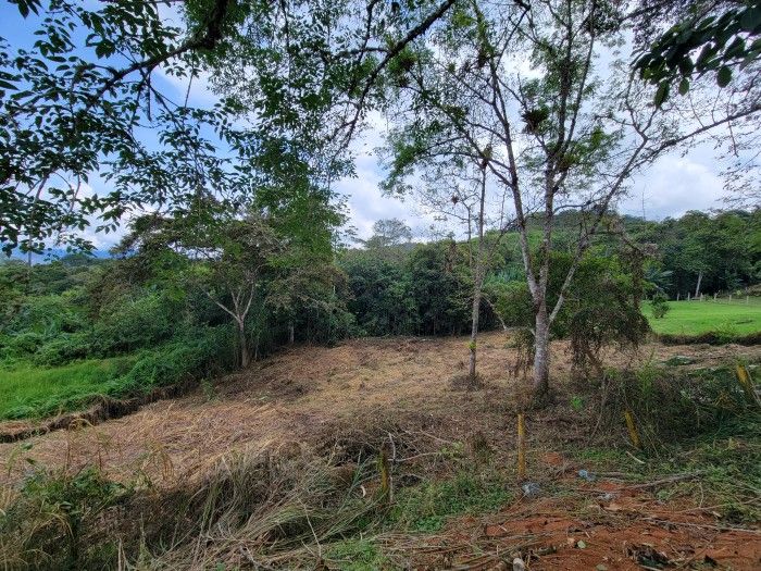 Lote en venta Valle Del Cauca Dagua Dagua 300 m2 Habitaciones 0 Baños 1 Garajes 5 Precio $410000000