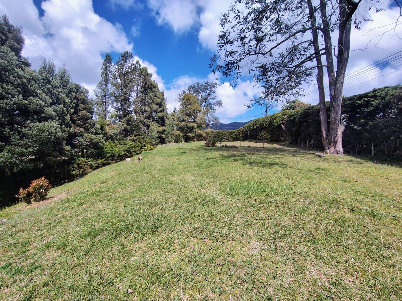 Lote en venta Antioquia Envigado Hacienda San Jorge 1300 m2 Habitaciones 0 Baños 0 Garajes 0 Precio $1300000000