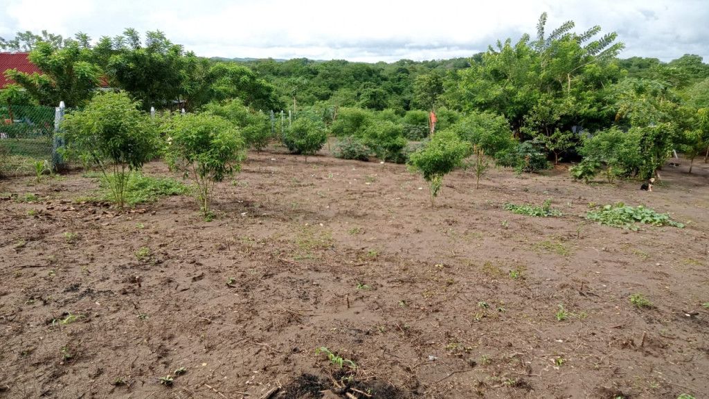 Lote en venta Atlántico Baranoa Centro 0 m2 Habitaciones 0 Baños 0 Garajes 0 Precio $210000000