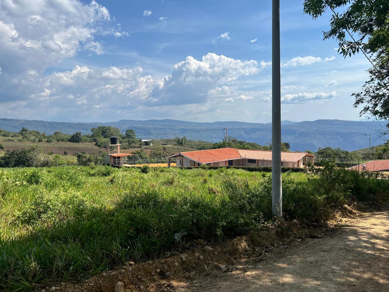 Lote en venta Santander Los Santos Los Santos 1250 m2 Habitaciones 0 Baños 0 Garajes 0 Precio $115000000