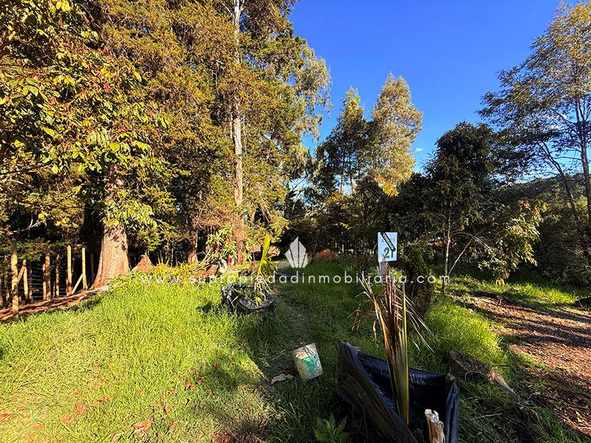 Lote en venta Antioquia Envigado Envigado 0 m2 Habitaciones 0 Baños 0 Garajes 0 Precio $1424000000