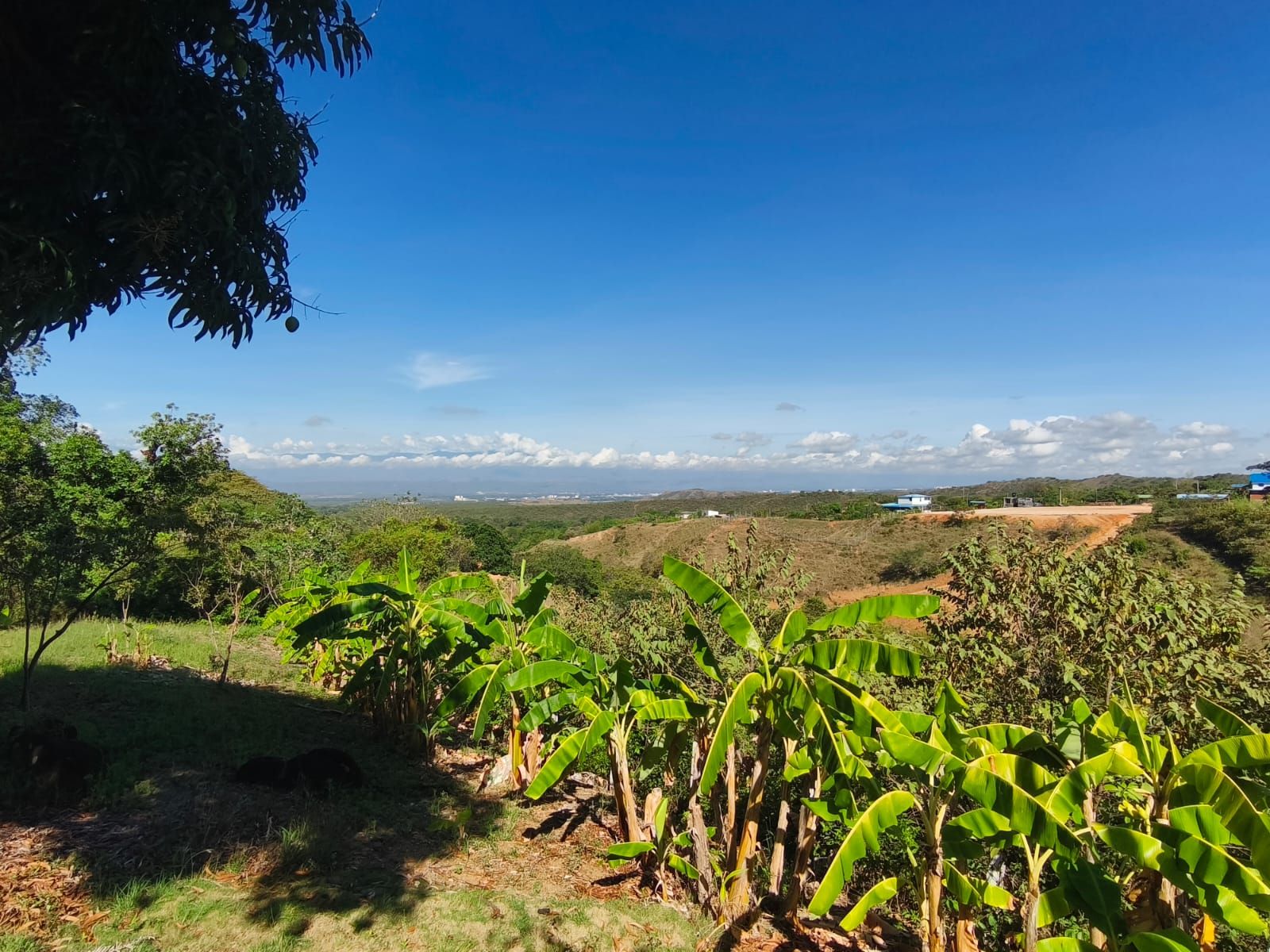 Lote Rural en venta Huila Rivera Rivera 48 m2 Habitaciones 0 Baños 0 Garajes 0 Precio $200000000