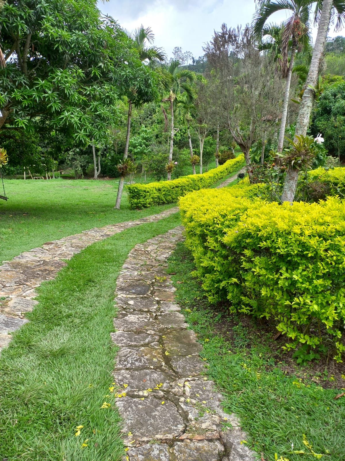 Finca en venta Cundinamarca Fusagasugá Fusagasuga 800 m2 Habitaciones 6 Baños 6 Garajes 6 Precio $2700000000