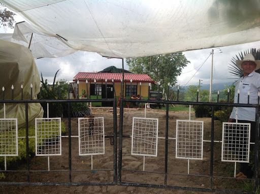 Lote en venta Cundinamarca Fusagasugá La Cabaña 266 m2 Habitaciones 0 Baños 1 Garajes 1 Precio $1500000000