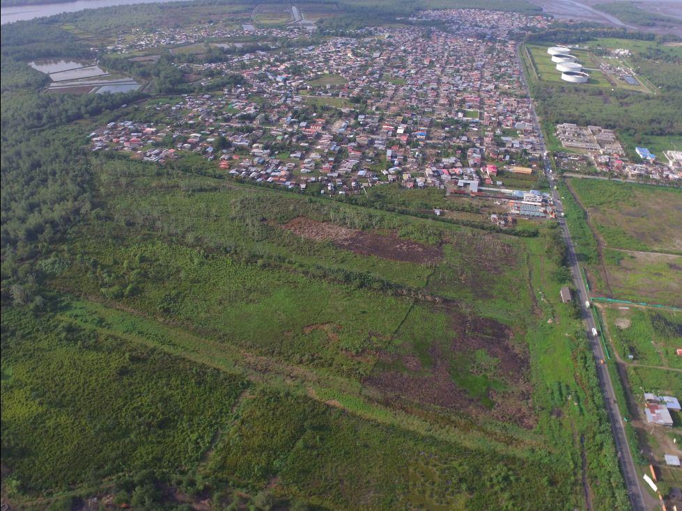 Lote en venta Nariño Tumaco Tumaco 70738 m2 Habitaciones 0 Baños 0 Garajes 0 Precio $9903320000