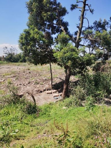 Lote en venta Cundinamarca Mosquera Cr Quintas Del Trebol 30412 m2 Habitaciones 0 Baños 0 Garajes 0 Precio $700000000