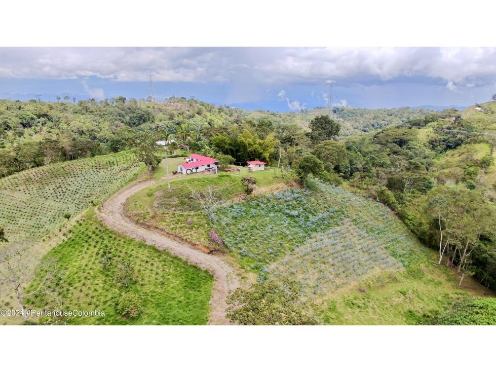 Casa en venta Cundinamarca Quipile Quipile 130 m2 Habitaciones 4 Baños 2 Garajes 0 Precio $600000000