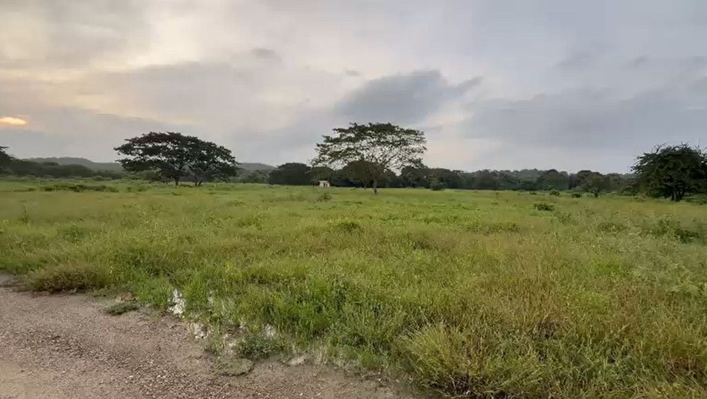 Lote en venta Atlántico Juan De Acosta Juan De Acosta 0 m2 Habitaciones 0 Baños 0 Garajes 0 Precio $100000000