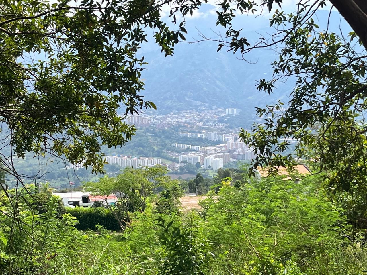 Lote en venta Santander Piedecuesta Bosques De Aranjuez 3333 m2 Habitaciones 0 Baños 0 Garajes 0 Precio $230000000