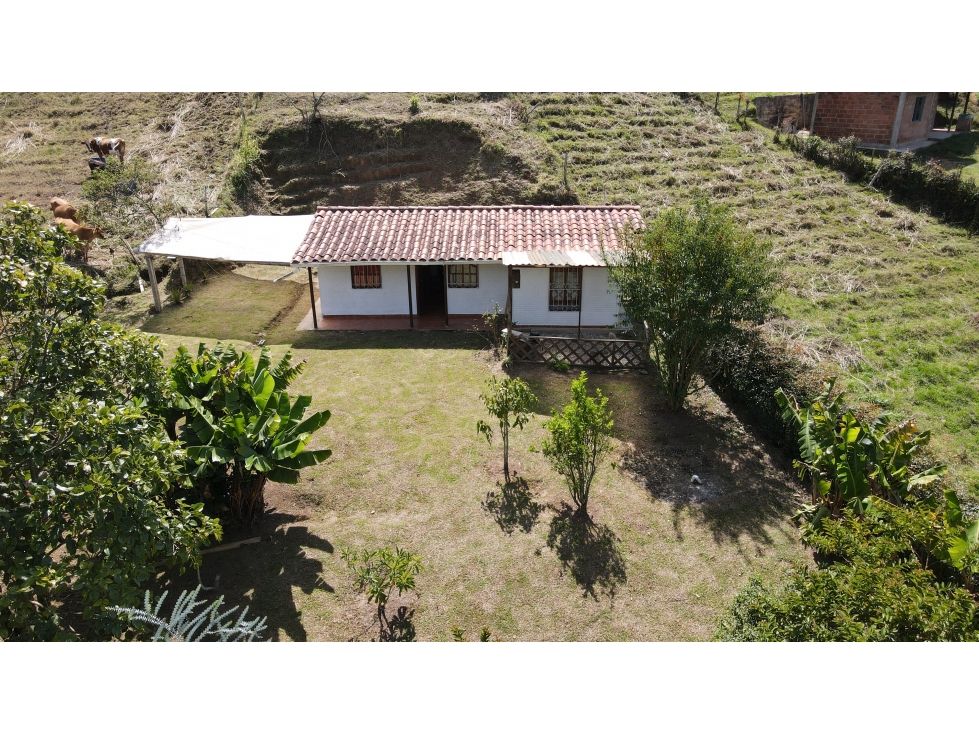 Finca en venta Antioquia El Carmen De Viboral El Carmen De Viboral 70 m2 Habitaciones 3 Baños 2 Garajes 1 Precio $280000000