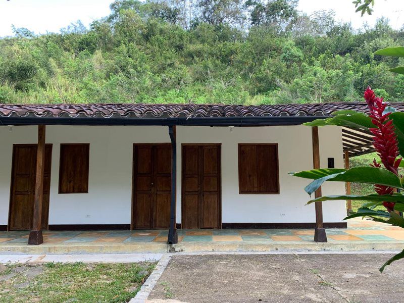 Finca en arriendo Antioquia Venecia Venecia 5000 m2 Habitaciones 0 Baños 0 Garajes 0 Precio $2500000