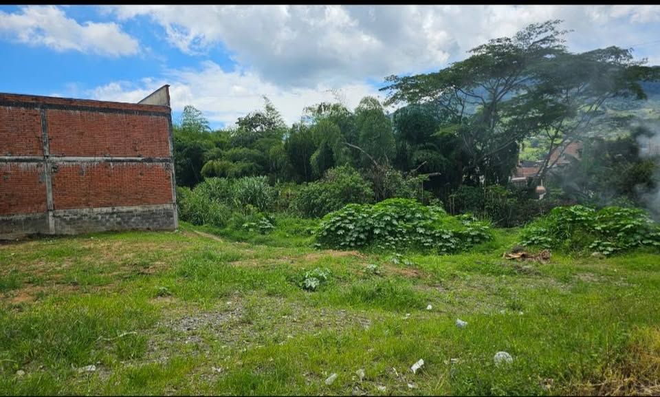 Local Comercial en venta Risaralda Dosquebradas Br Buenos Aires 312 m2 Habitaciones 0 Baños 0 Garajes 0 Precio $750000000