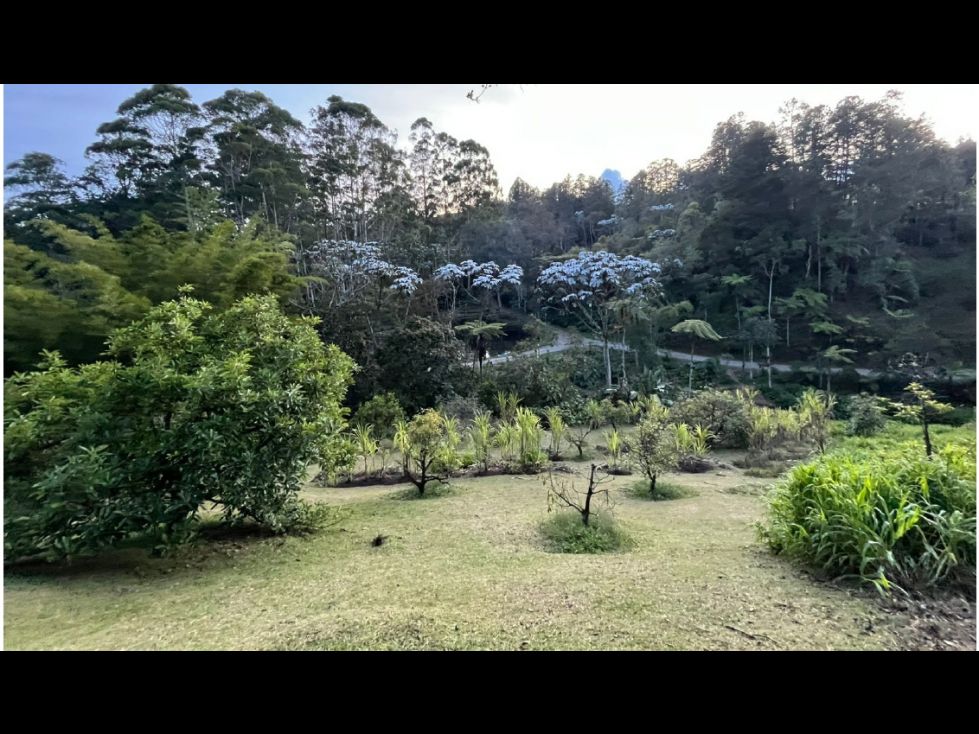 Lote en venta Antioquia El Retiro El Retiro 5874 m2 Habitaciones 0 Baños 0 Garajes 0 Precio $1000000000